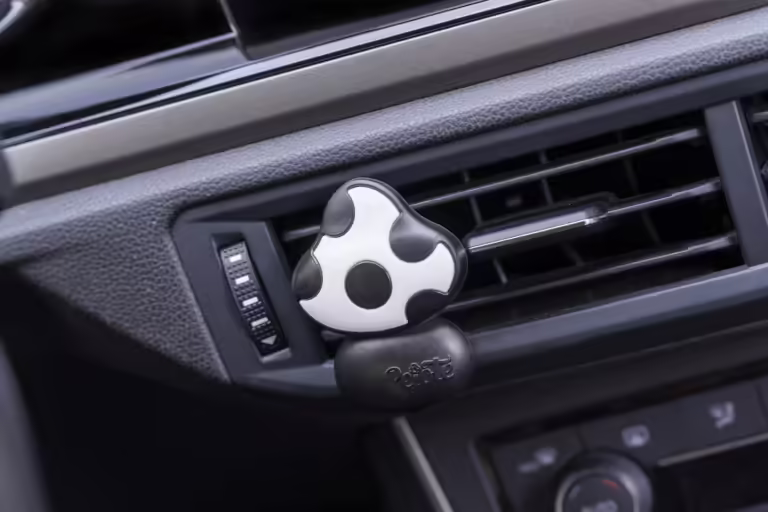 Pejote: profumatore ideale per creare un’atmosfera fresca e accogliente durante i tuoi viaggi in macchina.