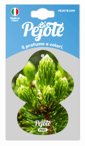 Pino Carta